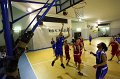 Basket 443037